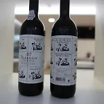Anjo De Portugal Hotel
