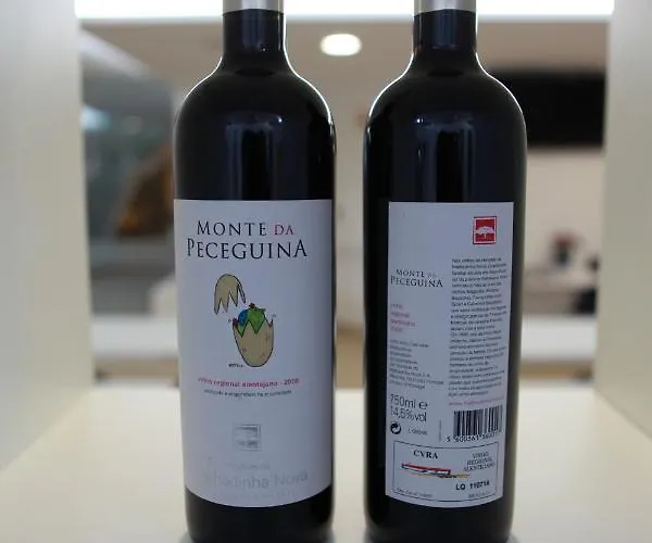 Hotel Anjo De Portugal